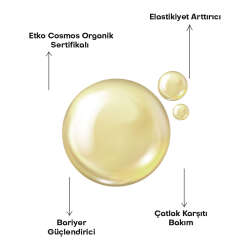 Alls Biocosmetics Organik Anti Stretch Mark Çatlak Önlemeye Yardımcı Jel 350 ml - 3