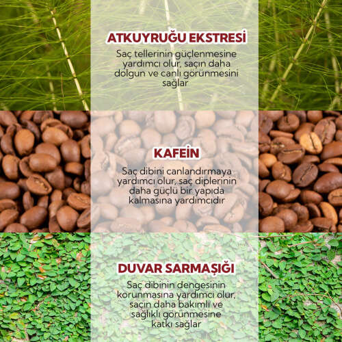 Alls Biocosmetics Organik Besleyici Prebiyotik Saç Kremi 350 ml - 7