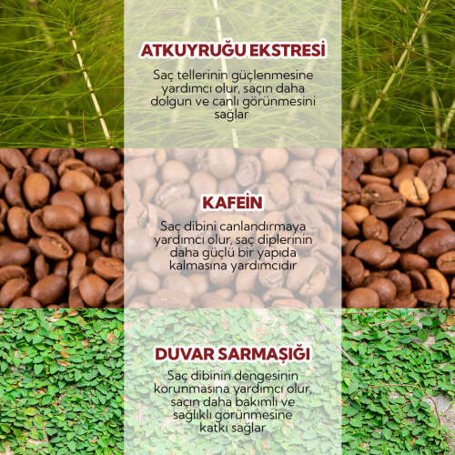 Alls Biocosmetics Organik Dökülme Karşıtı Prebiyotik Şampuan 100 ml - 5