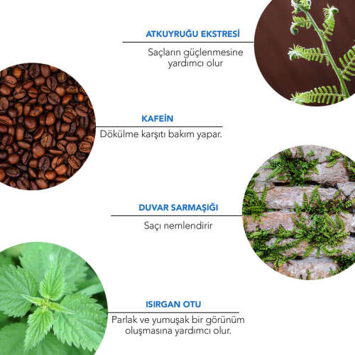 Alls Biocosmetics Organik Dökülme Karşıtı Prebiyotik Şampuan 350 ml - 8