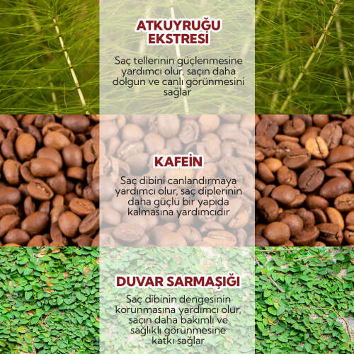 Alls Biocosmetics Organik Dökülme Karşıtı Prebiyotik Şampuan 350 ml - 5