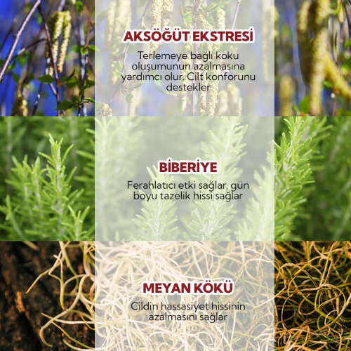 Alls Biocosmetics Organik Prebiyotik Roll on Deodorant 75 ml - Erkekler İçin - 5