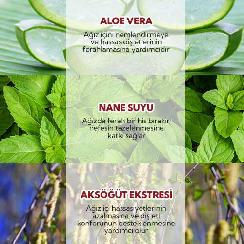 Alls Biocosmetics Organik Sertifikalı Konsantre Ağız Çalkalama Suyu 240 ml - 6