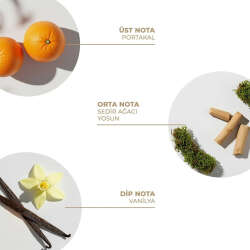 And You Forest Glow Vücut Spreyi 100 ml - 2