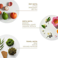 And You Gingham Fresh Vücut Spreyi 100 ml - 2