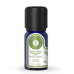 Arotolia Okaliptus Globus Uçucu Yağı 10 ml - 2