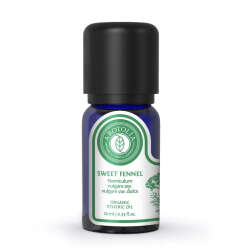 Arotolia Tatlı Rezene Uçucu Yağı 10 ml - 2