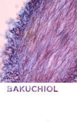 Bioderma Sensibio AR+ Bi-Serum 30 ml - 2