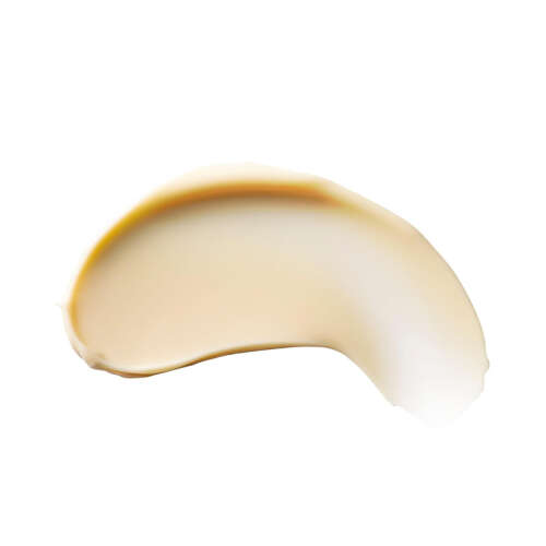 Burts Bees Body Lotion 170 gr - 2