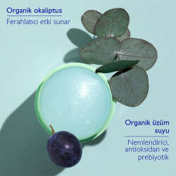 Caudalie Vinofresh Doğal Stick Deodorant 50 gr - 5