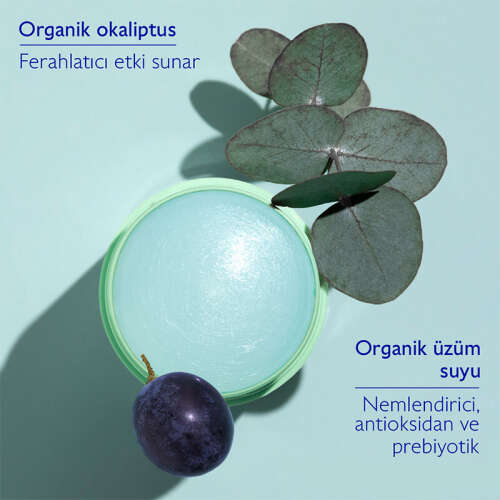 Caudalie Vinofresh Doğal Stick Deodorant 50 gr - 5