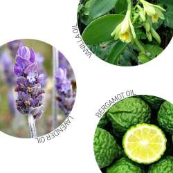 Celenes By Sweden Nordic Oil Besleyici Duş Yağı 400 ml - 6