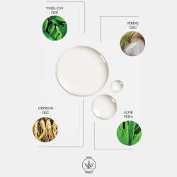 Clara Hygienics Glyco Refresh 5% Glikolik Asit Leke Karşıtı Vegan Yüz ve Vücut Tonik 200 ml - 4