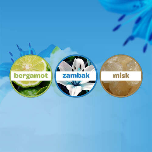 Dalin Bebek Kolonyası 100 ml - Deniz Esintisi - 4