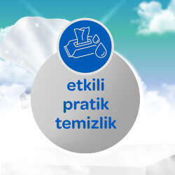 Dalin Hijyenik Cep Mendili 3x15 - 4