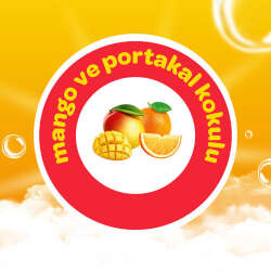 Dalin Mango ve Portakal Aromalı Köpük Sabun 200 ml - 2