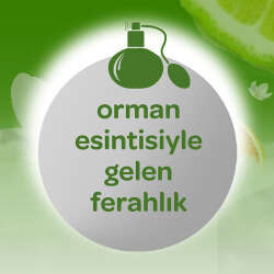 Dalin Orman Esintisi Bebek Kolonyası 100 ml - 3