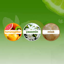 Dalin Orman Esintisi Bebek Kolonyası 100 ml - 4