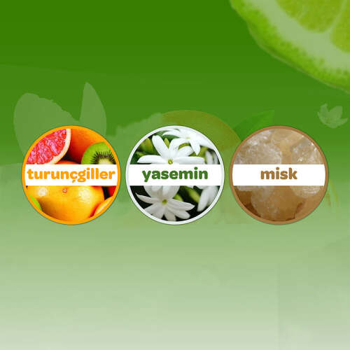 Dalin Orman Esintisi Bebek Kolonyası 100 ml - 4
