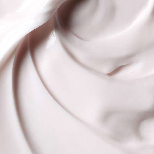 Darphin Predermine Anti-Wrinkle & Firming Night Cream 50ml - 2