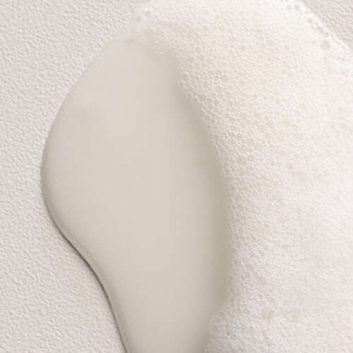 Davines Natural Replumping Shampoo 250ml - 4