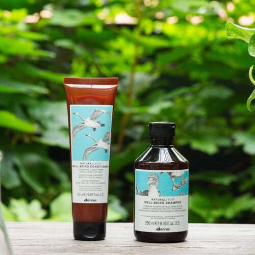 Davines Well-Being Shampoo 250ml - Davines