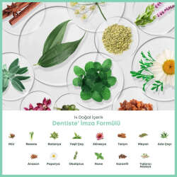 Dentiste Anticavity Max Fluoride Diş Macunu 45 gr - 6