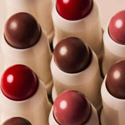 Embryolisse Secret de Maquilleurs Baume Couleur Stick 2.5 gr - 5