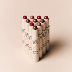 Embryolisse Secret de Maquilleurs Baume Couleur Stick 2.5 gr - 6