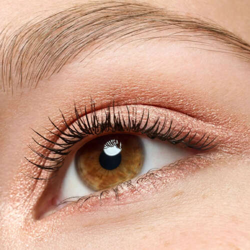 Essence Cream Eyeshadow 01 Rose 5 gr - 2