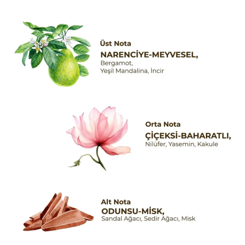 Eyüp Sabri Tuncer Roll-On Deodorant Active - Kadınlar İçin 75 ml - 2