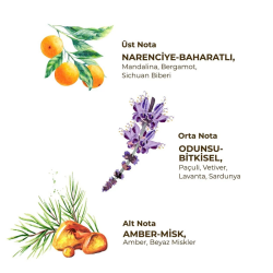 Eyüp Sabri Tuncer Roll-On Deodorant Sport - Erkekler İçin 75 ml - 2