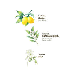 Eyüp Sabri Tuncer Verbena ve Zinde Limon Kolonyası 400 ml - Pet Şişe - 2