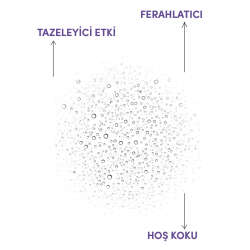 From Natura Aromatik Lavanta Kolonyası 100 ml - 3