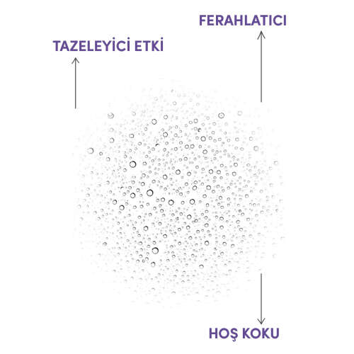 From Natura Aromatik Lavanta Kolonyası 100 ml - 3