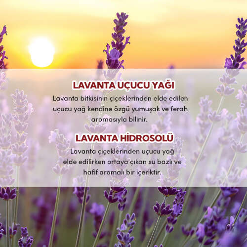 From Natura Aromatik Lavanta Kolonyası 50 ml - 4