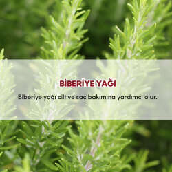 From Natura Uçucu Biberiye Yağı 30 ml - 4