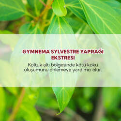 From Natura Erkekler İçin Terleme Önleyici Roll-on Deodorant 75 ml - 4