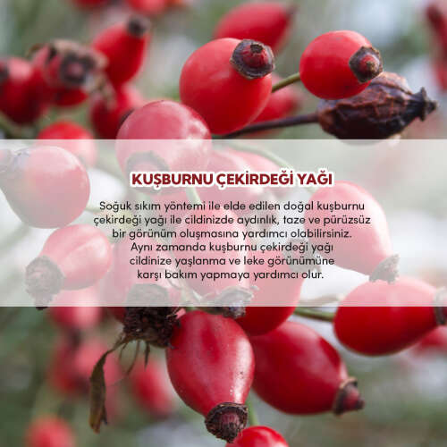 From Natura Kuşburnu Çekirdeği Yağı 30 ml - 5