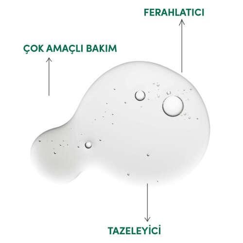 From Natura Organik Uçucu Nane Yağı 18 ml - 3