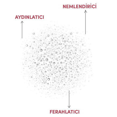 From Natura Rose Beauty Elixir Gül Güzellik İksiri 100 ml - 3