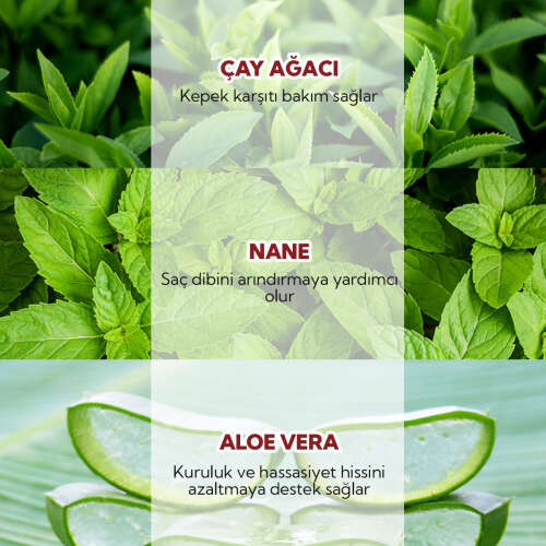 From Natura Tea Tree Mint Kepek Karşıtı Şampuan 350 ml - 4