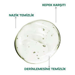 From Natura Tea Tree Mint Kepek Karşıtı Şampuan 100 ml - 3
