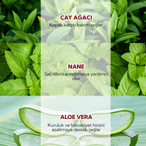 From Natura Tea Tree Mint Kepek Karşıtı Şampuan 100 ml - 4