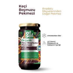 Otsa Organik Keçi Boynuzu Pekmezi 620 g - 2