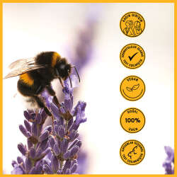 Heaven On Earth Bebek Şampuanı 300 ml - 7