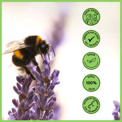 Heaven On Earth Fresh Deo Roll-On 50 ml - 8