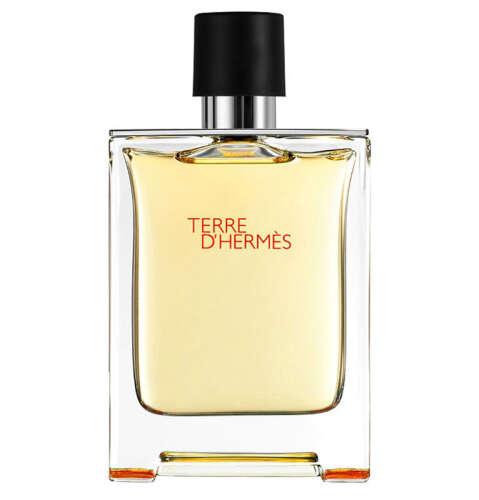 Hermes Terre Dhermes Pure Erkek Parfümü 75 ml - Hermes