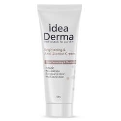 İdea Derma Aydınlatıcı ve Leke Karşıtı Bakım Kremi 50 ml - 1