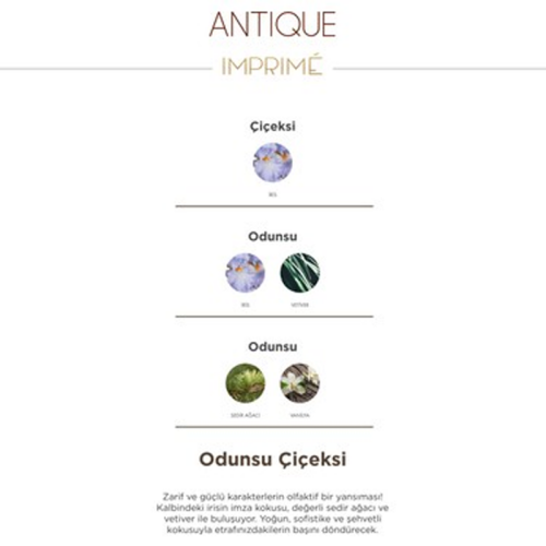 Imprime Antique Edp Erkek Parfümü 100 ml - 4